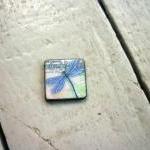 Dragonfly collection. 1 inc..