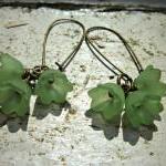 Baby bell flower Earrings. ..
